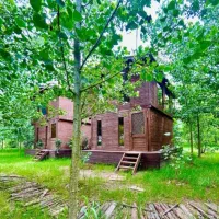 ویلا-در-دل-جنگل-های-پر-نور