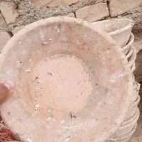 فروش جای تخم کبوتر