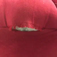 مبل راحتی ۵ نفره|مبلمان خانگی و میز عسلی|تهران, نارمک جنوبی|دیوار