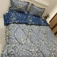 دنیایی روتختی زاهدان|سرویس روتختی|زاهدان, |دیوار