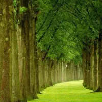 راهنمایی کار و سرمایه گذاری