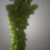 غوره محلی