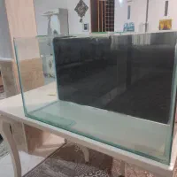 آکواریوم|ماهی|قم, علی آباد سعدگان|دیوار