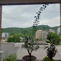 ۱۵۰متری ویو ابدی سعدی|فروش آپارتمان|لاهیجان, کوه بیجار|دیوار