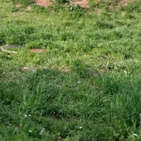 زمین مسکونی واقع در آراسته ۸