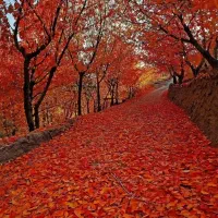 تفریح و گردش