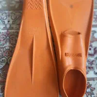 فین شنا