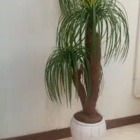 درختچه مصنوعی