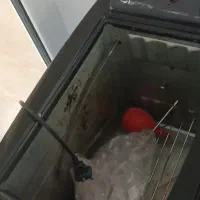 فر برقی و گازی