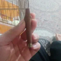 پیپ|کلکسیون اشیاء عتیقه|شیراز, کوشک میدان|دیوار