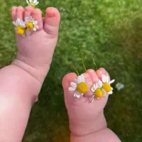 گوشوار گمشده