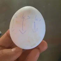 شکستن تخم مرغ برای دفع چشم زخم و رفع بحث و دعوا