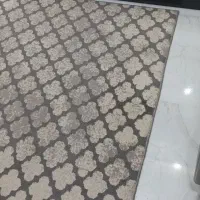 فرش فانتزی  پادری|گلیم، جاجیم، گبه|شاهدشهر, |دیوار