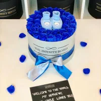 گل روبانی زیبا|گل مصنوعی|سلماس, |دیوار