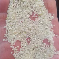 فروش نیمدانه و خورده برنج لنجانی
