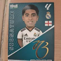 کیمدی بلینگهام امضا