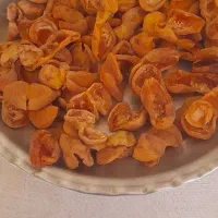 فروش برگه زردآلو