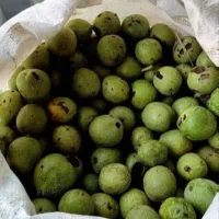 گردو تازه