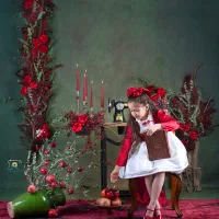 عکاسی با تم یلدا و کریسمس|خدمات پذیرایی، مراسم|یزد, |دیوار