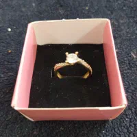 انگشتر طلا به وزن ۲/۵۶۰ گرم نو نو به قیمت تابلو