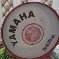شادگان