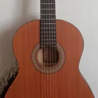 گیتار پارسی