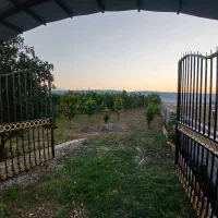 باغ پرتقال|فروش زمین و ملک کلنگی|باقرشهر, |دیوار