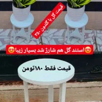 فروش گل و گیاه طبیعی|گل و گیاه طبیعی|رشت, عینک|دیوار