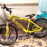 دوچرخه26المپیا