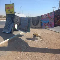 قالیچه ۱۲۰در ۱۸۰ فقط وفقط ۲۸۰