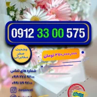 بیزینسی 0912.142.62.73 پلمپ خشک|سیمکارت|زنجان, |دیوار