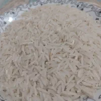 برنج فجر سوزنی