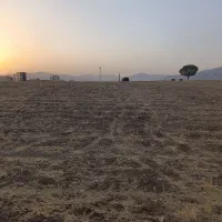 زمین پشت کشتارگاه|فروش زمین و ملک کلنگی|لردگان, |دیوار