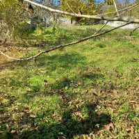 زمین روستائی|فروش زمین و ملک کلنگی|زیرآب, |دیوار