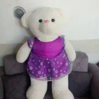 خرس عروسکی بهترین جنس و لایکو داره لازم ندارم