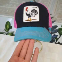 کلاه