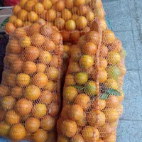 پرتقال شیرین شلغم شیرین