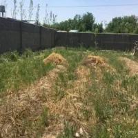 زمین مسکونی