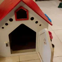 لانه سگ|لوازم جانبی حیوانات|ساری, |دیوار