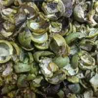 فروش پوست سبز گردو ب صورت عمده