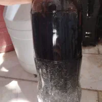 شیره ی توت