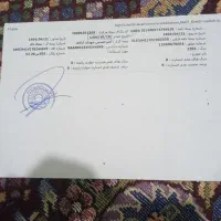 ماشین پژو پارس|خودرو سواری و وانت|چابهار, |دیوار