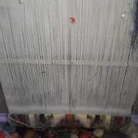 قالیچه نیمه کاره استاد بافت|فرش|ابهر, |دیوار