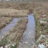 زمین فوری فروشی