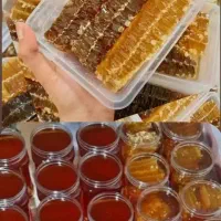 اربا دوشاب،رب انار ،رب الوچه،عسل طبیعی و غیره|خوردنی و آشامیدنی|رشت, جهاد|دیوار