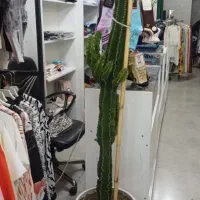 گل با گلدون