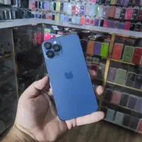 12 پرومکس