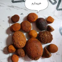 سنگ صفرا گاو و گوسفند