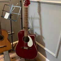 گیتار آکوستیک فندر سفارشی