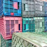 سبد ۲۰ کیلو نو